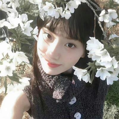 双面艾莉丝